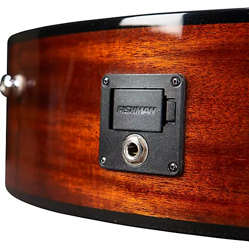 Breedlove Discovery S Concert CE European Spruce-African Mahogany Acoustic-Electric Bass Edge Burst - musicians--Friend