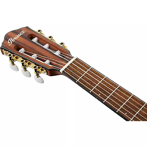 Ibanez FRH10N Nylon-String Acoustic-Electric Guitar Rose Gold Metallic Flat - musicians--Friend