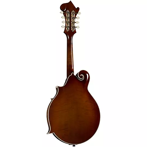Kentucky KM-858 Artist F-Style Mandolin Gold - musicians--Friend