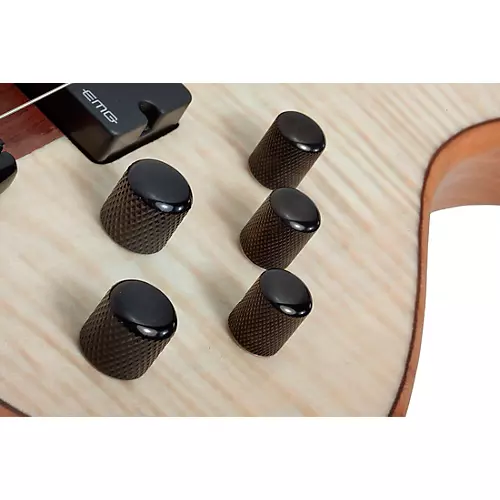 Schecter Guitar Research Charles Berthoud CB-6 6-String Electric Bass Guitar Natural Satin - musicians--Friend