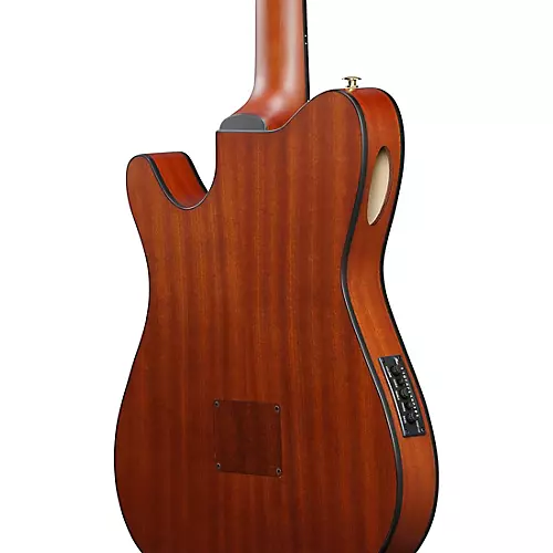 Ibanez FRH10N Nylon-String Acoustic-Electric Guitar Rose Gold Metallic Flat - musicians--Friend