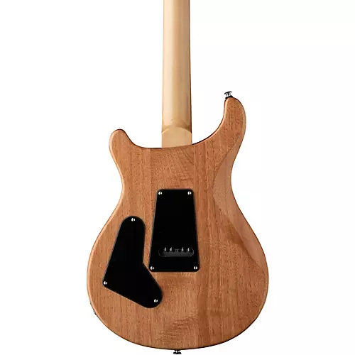 PRS SE Exotic Custom 24 Swamp Ash Burl Electric Guitar Lake Blue - musicians--Friend