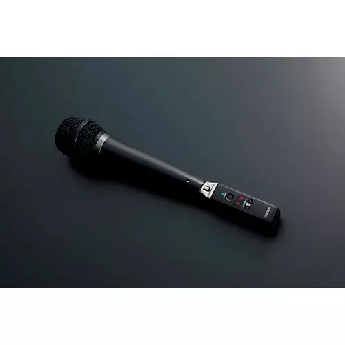 BOSS WL-30XLR Wireless System - musicians--Friend