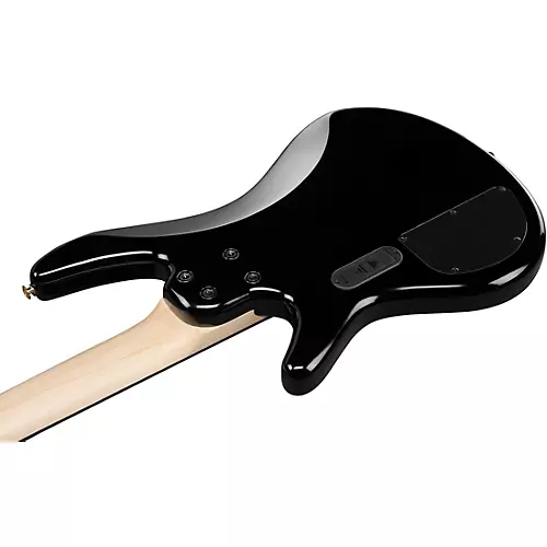 Ibanez GSR205PC 5-String Electric Bass Guitar Transparent Pale Black Burst - musicians--Friend