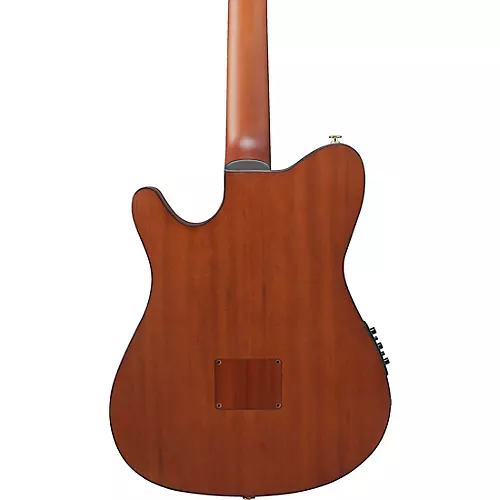 Ibanez FRH10N Nylon-String Acoustic-Electric Guitar Rose Gold Metallic Flat - musicians--Friend