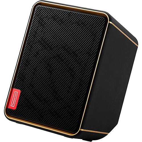Positive Grid Spark EDGE Portable 4-Channel Smart Amp & PA Black - musicians--Friend