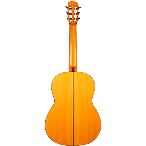 Cordoba F10 Nylon String Acoustic Guitar Natural - musicians--Friend