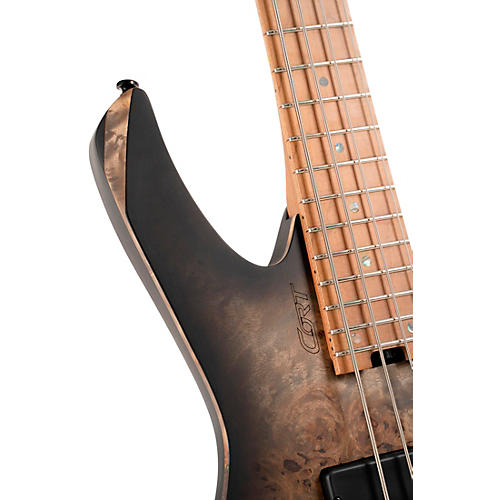 Cort Space 4 Artisan Headless Electric Bass Star Dust Black - musicians--Friend