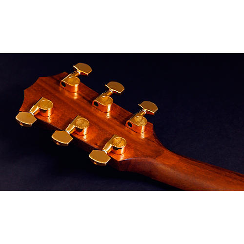 Taylor AD14ce-SB LTD 50th Anniversary Grand Auditorium Acoustic-Electric Guitar Tobacco Sunburst - musicians--Friend