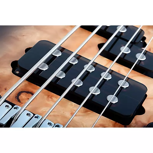 Schecter Guitar Research Reaper-5 5-String Electric Bass Guitar Satin Charcoal Burst - musicians--Friend