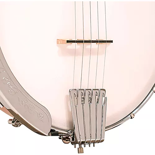 Gold Tone CC-100 (O) Open-Back Banjo Natural - musicians--Friend