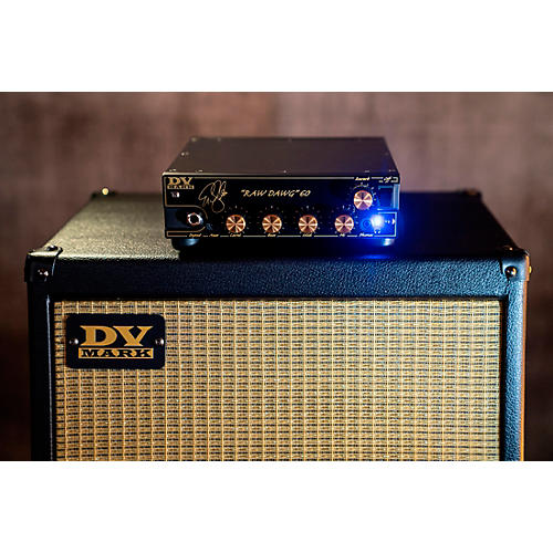 DV Mark DV Raw Dawg 60 EG Signature Head Black - musicians--Friend