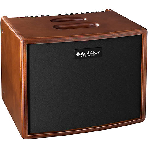 Hughes & Kettner Era 1 250W 1x8 Acoustic Combo Amp Black - musicians--Friend