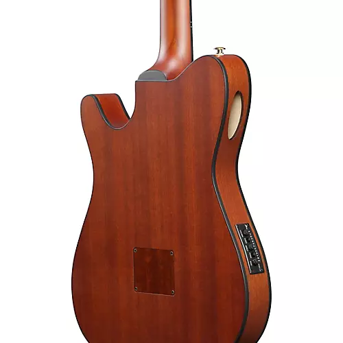 Ibanez FRH10N Nylon-String Acoustic-Electric Guitar Rose Gold Metallic Flat - musicians--Friend