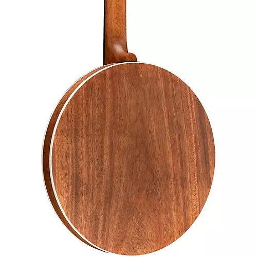 Deering Sierra 5-String Banjo - musicians--Friend