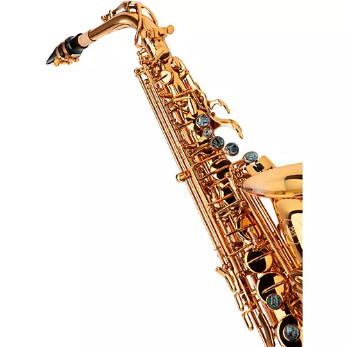 Allora AAS-580 Chicago Series Alto Saxophone Un-Lacquered Unlacquered Keys - musicians--Friend