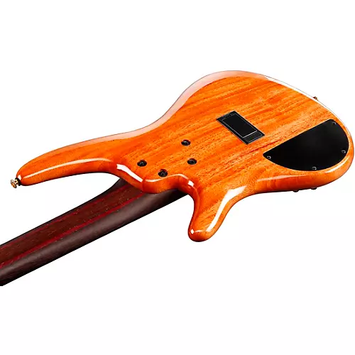 Ibanez Premium SR1605DW 5-String Electric Bass Guitar Autumn Sunset Sky - musicians--Friend