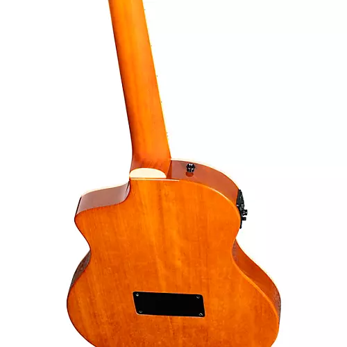 Ortega RTPDLX Flamed Maple Nylon-String Acoustic-Electric Guitar Blue Burst - musicians--Friend
