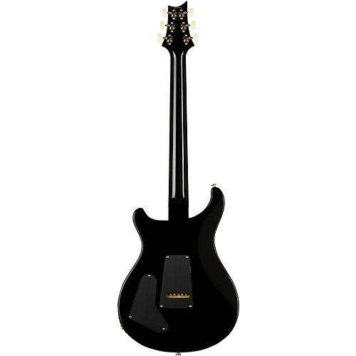 PRS Special Semi-Hollow Electric Guitar Yellow Tiger - musicians--Friend