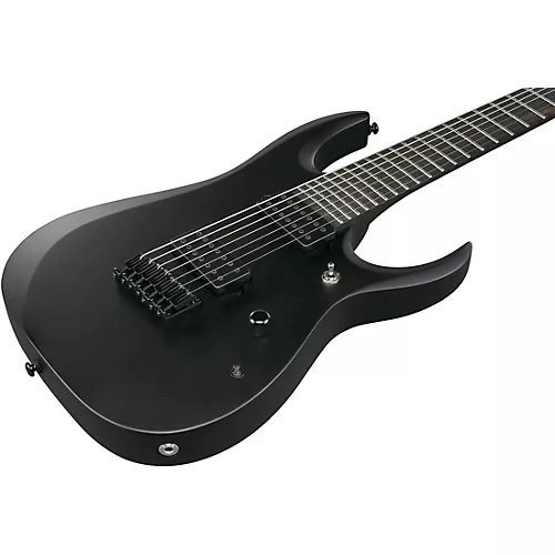 Ibanez RGD Iron Label 7-String Electric Guitar Black Flat - musicians--Friend