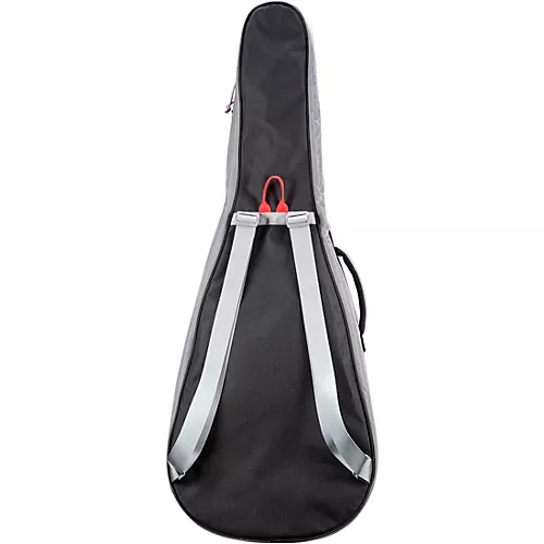 Breedlove Concerto 34