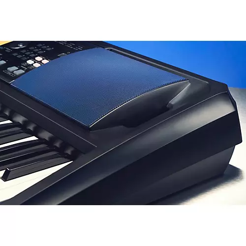 KORG EK-50 U 61-Key Arranger Keyboard - musicians--Friend