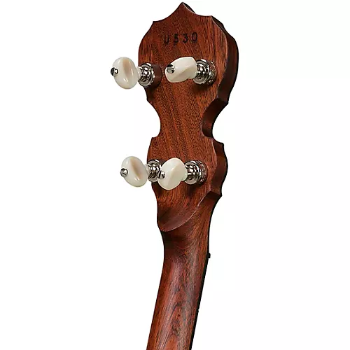 Deering Sierra 5-String Banjo - musicians--Friend