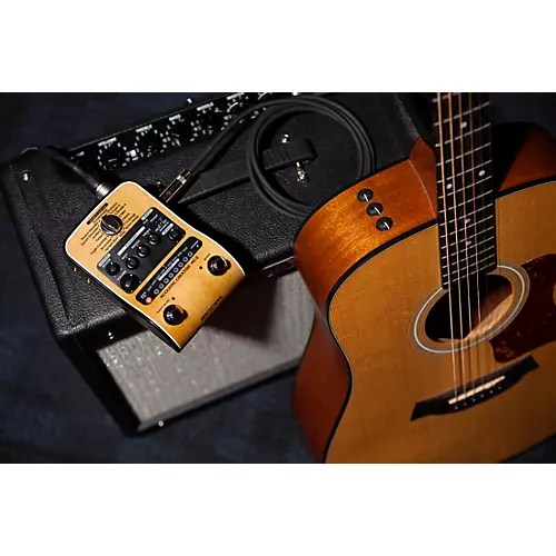 Zoom AC-2 Acoustic Creator - musicians--Friend
