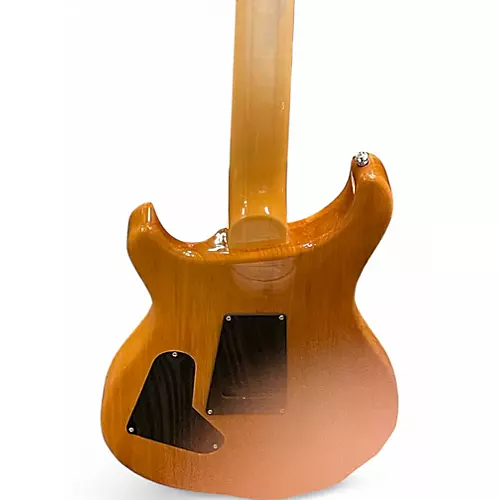 Used PRS SE Custom 24 Limited edition Spalted Maple Solid Body Electric Guitar Spalted Maple - musicians--Friend