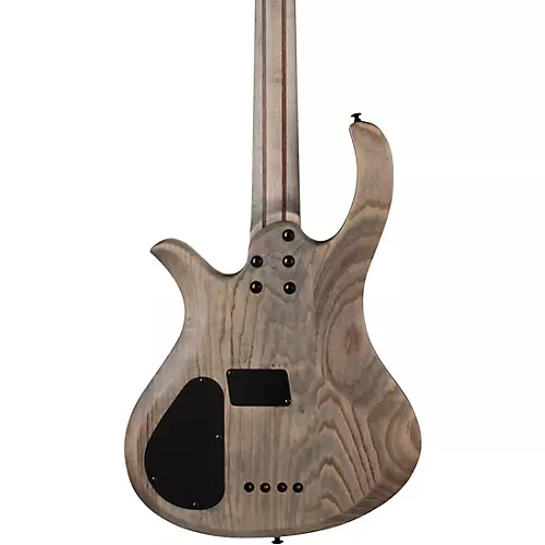 Schecter Guitar Research Riot-5 5-String Bass Aurora Burst - musicians--Friend
