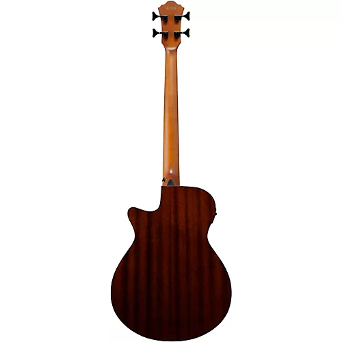 Ibanez AEGB24FE Fretless Auditorium Acoustic-Electric Bass Guitar Mahogany Sunburst - musicians--Friend