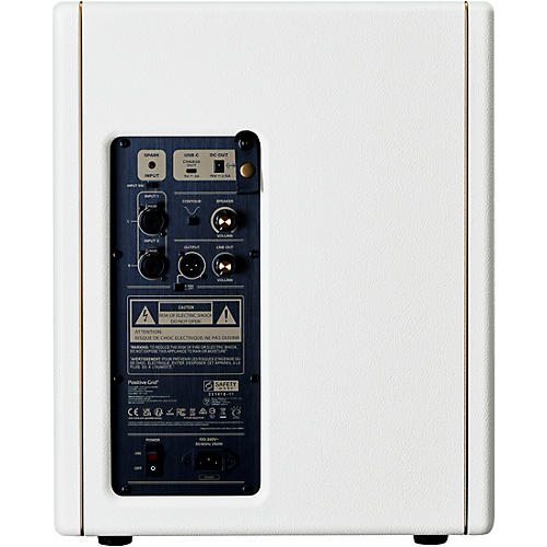 Positive Grid Spark CAB Powered FRFR Speaker Cab Black