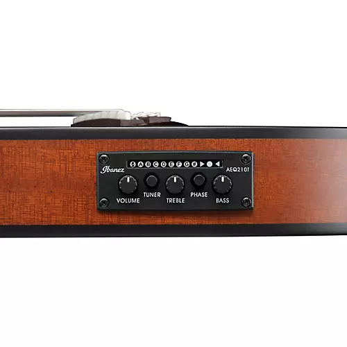 Ibanez FRH10N Nylon-String Acoustic-Electric Guitar Rose Gold Metallic Flat