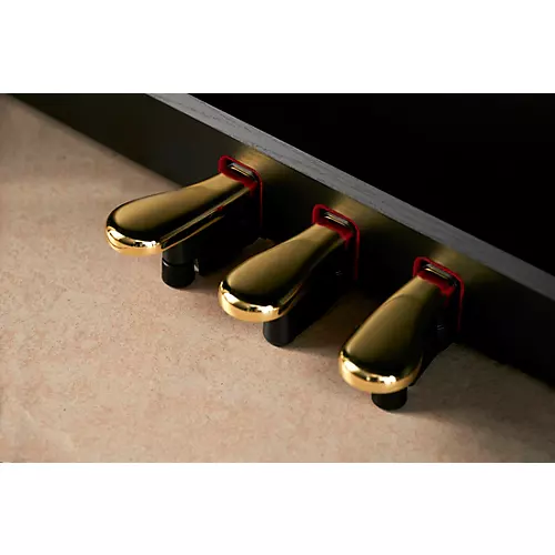 Casio Celviano AP-750BK Console Digital Piano Black