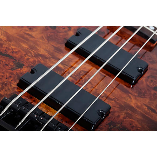 Schecter Guitar Research C-4 Standard Electric Bass Guitar Tobacco Burl