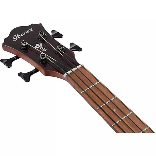 Ibanez AEGB30E Spruce-Sapele Acoustic-Electric Bass Guitar Natural