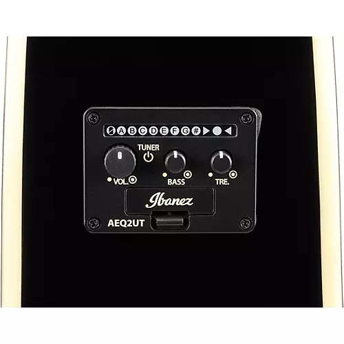 Ibanez ALT30 Altstar Dreadnought Acoustic-Electric Guitar Silver Burst