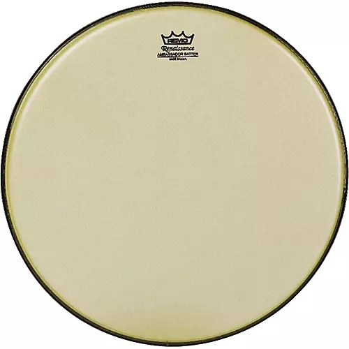 Remo Renaissance Ambassador Tom Batter 10 in.