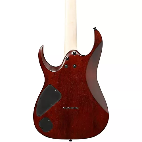 Ibanez RGA series RGA42FM Electric Guitar Transparent Gray Flat