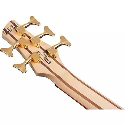 Ibanez SR305EDX 5-String Electric Bass Guitar Wine Red Frozen Matte