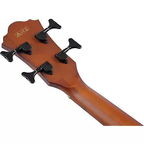 Ibanez AEGB30E Spruce-Sapele Acoustic-Electric Bass Guitar Natural