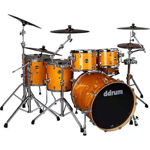 Ddrum Dominion Birch 6-Piece Shell Pack With Ash Veneer Trans Black