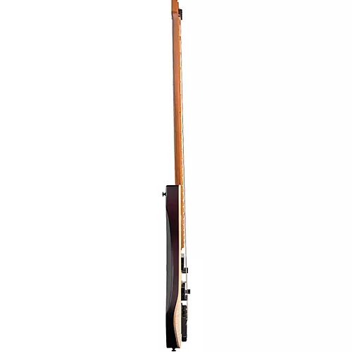 Strandberg Boden Standard Bass Charcoal