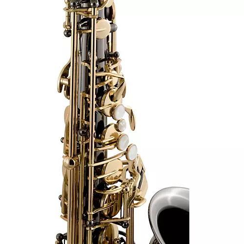 Selmer Selmer Alto Saxophone, Lacquer Finish, Lightweight Case, Selmer R402 Mouthpiece Black Nickel Body Gold Lacquer Keys