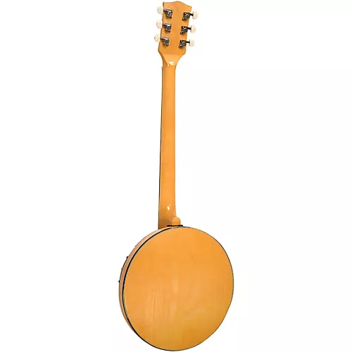 Gold Tone GT-500 Banjo
