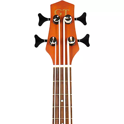 Gold Tone 23-Inch Scale Left-Handed Acoustic-Electric MicroBass with Gig Bag