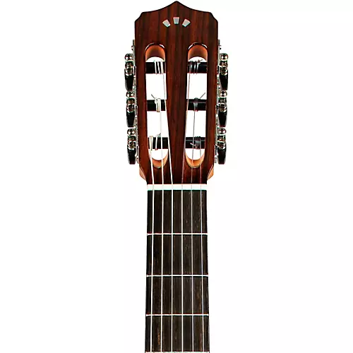 Cordoba Fusion 12 Exotic Top Nylon-String Classical Acoustic-Electric Guitar Brown Sugar Burst