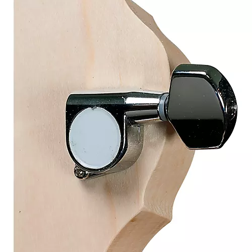 Deering Goodtime Nickel Banjo