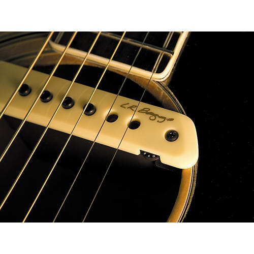 LR Baggs M1A Active Soundhole Magnetic Pickup