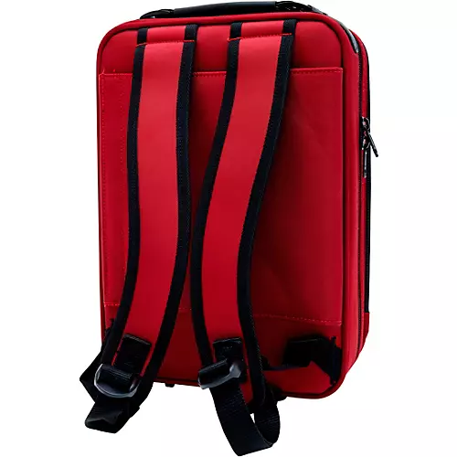 Allora Paris Series Grenadilla Clarinet Silver Plated Keys